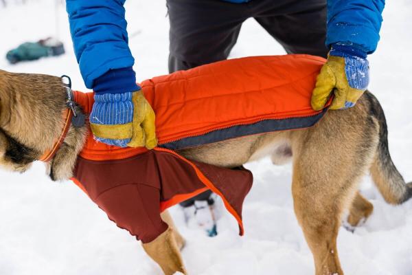 Ruffwear POWDER HOUND™ JACKET Persimmon Orange Gr. XL Ruffwear POWDER HOUND™ JACKET Persimmon Orange Gr. XL